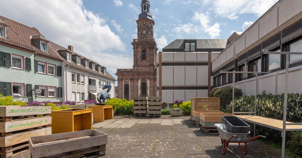 Wormser Gemeinschaftsgarten findet keine Gärtner